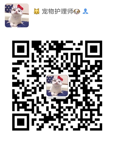 娇娇微信二维码.jpg
