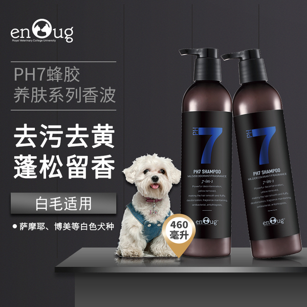 如何摆脱狗的白发中的黄色 如何摆脱狗的白发中的黄色